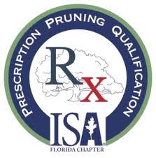 Image result for tbn:0UreIrM_jPIxpM::www.decorazonsinigual.com.ar/imagenes/logo%2520pirata1.jpg