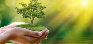 • الإشراف على أراضي المراعي، والغابات، والمتنزهات مكافحة التصحُّر وحماية البيئة البحرية والساحلية. Ø¹Ø¨Ø§Ø±Ø§Øª Ø¹Ù† Ø§Ù„Ù…Ø­Ø§ÙØ¸Ø© Ø¹Ù„Ù‰ Ø§Ù„Ø¨ÙŠØ¦Ø© Ø­ÙŠØ§ØªÙƒ