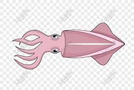 Gratis untuk komersial tidak perlu kredit bebas hak cipta. Hand Drawn Purple Squid Illustration Png Image Psd File Free Download Lovepik 611706742