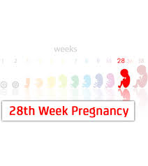 28 Weeks Pregnant Symptoms Baby Development Tips And