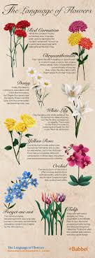 Flowers Have Long Been Symbols Of Love And Romance But Did You Know That They Have A Whole Language O Language Of Flowers Flower Meanings Daisy Flower Meaning