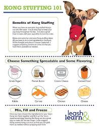 Private Dog Training Nyc Dog Grooming At Home Service Home Dog Grooming Station Dog Washing Tips Do Dog Training Dog Training Obedience Kong Stuffing