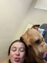 Adopt a 14-year-old sweet declawed cat