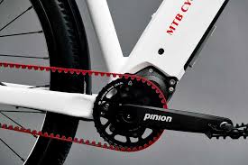 Pinion Schmidt Pedelec