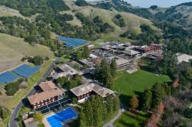 San domenico golf is located where the puglian countryside meets the azure of the adriatic sea, perfectly nested between the slopes of the itria valley and the touristic port of savelletri. San Domenico School Linkedin