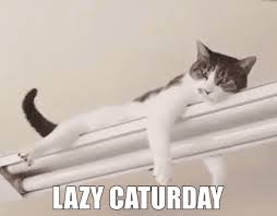 Well, you can express it by using some happy saturday memes. Best Caturday Gifs Gfycat