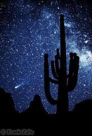 Halley S Comet In Night Sky Halley S Comet Night Skies Sky
