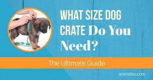 We did not find results for: What Size Dog Crate Do You Need The Ultimate Guide Animalso