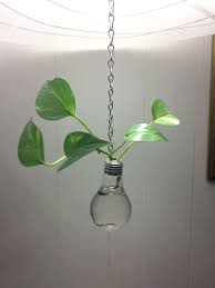 Recycled Light Bulb Hanging Vase 7 50 Thecraftstar Hanging Vase Lightbulb Upcycled Ecofriendly Recyc Recycled Light Bulbs Hanging Vases Light Bulb Vase