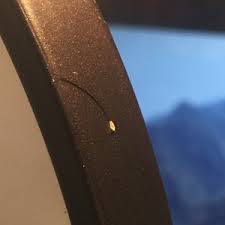 White bulbs at the end of hairs that have fallen belong to this phase. Eyebrows Keep Falling Out Does This Mean The Root Of My Eyebrow Is Out Will It Ever Grow Back Photos