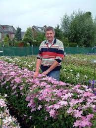 Check spelling or type a new query. Clematis Verschoor Horticulture