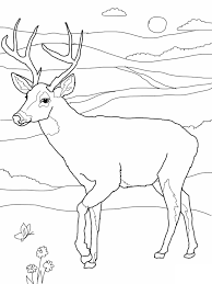 The festival is free and will be filled with live music and art here's another coloring page, i think i'll make. Free Printable Deer Coloring Pages For Kids