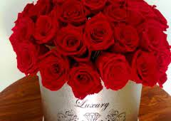 We have the greatest and finest collection of flowers, preserved roses, rose teddy bears, balloons, gift boxes, etc. Florist Miami Luxury Diamond Flowers Delivery 253 Ne 2nd St Miami Fl 33132 Yp Com