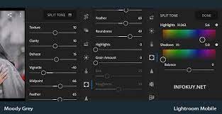 Lightroom, rumus lightroom keren, rumus lightroom ala selebgram, preset lightroom, tutorial edit foto lightroom android, jesen zain, rumus lightroom, lightroom tutorial selfie, tone lightroom. Rumus Lightroom Moody Grey Filter Kekinian Infokuy