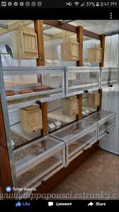 Bird Aviary For Sale South Africa Great Feeding System Pet Bird Cage Budgies Bird Pet Birds