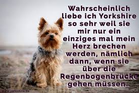 Yorkshire Zitate Und Spruche Yorkshire De