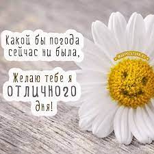 Kakoj By Pogoda Sejchas Ni Byla Zhelayu Tebe Ya Otlichnogo Dnya Dobroe Utro Otkrytki Utrennie Citaty