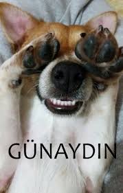 Herkese Mutlu Gunler Gunaydin Gunaydin Komik Galeri