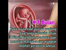 Gerakan janin 7 bulan yang dihitung. Gerakan Janin Usia 7 Bulan