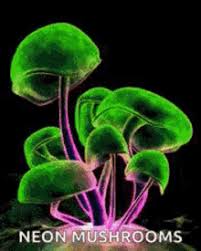 Insane trippy cgi animationtotal render time ~550h (23 days)project by newartstudiosmusic by noruamazing sacred geometry artwork by glenn. Trippy Cartoon Mushrooms Gifs Tenor