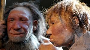Er war etwa einen meter groß, sein gehirn hatte die größe einer. Neandertaler Dem Modernen Menschen Ebenburtig Br Wissen