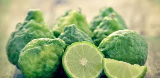 Du willst wissen, warum obst und gemüse gesund sind? A Stranger Among Us Bergamot L Italo Americano Italian American Bilingual News Source