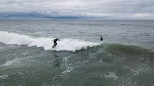 Used air chair hydrofoil for sale craigslist. What Is Hydrofoil Surfing Tips To Know Before Your First Hydrofoil Surfboard Session Surfline