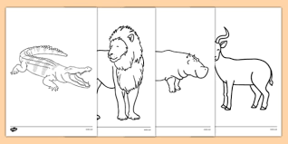 There's something for everyone from beginners to the advanced. Crocodile Colouring Pictures Animals Teaching Resource
