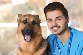 We are offering a sign on bonus, protocol, and annual increases. Veterinary Assistant Salary The Academy Of Pet Careers