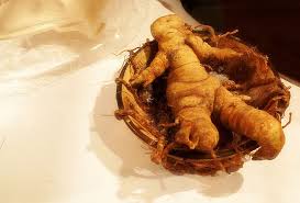 Pan S Labyrinth Props Mandrake Labyrinth Mandrake Root