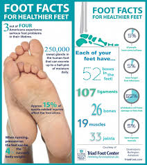 Muscles of the leg that move the foot and toes. Pin On Podologia