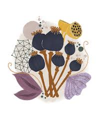 Antique botanical prints & hand colored prints & rare orchid prints & roses and flowers birds parrots insects & other antique prints by master botanical print illustrators warner turpin loddiges edwards. Scandinavian Modern Botanical Print Mid Century Art Set Of By Birdsong Prints Seen At Creator S Studio Denver Wescover