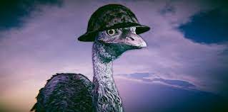 The Great Australian Emu War Of 1932 The Fact Site Emu War Human Bird Emu