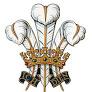 PRINCE OF WALES THREE FEATHERS gan www.pinterest.com