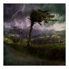 8.00 x 5.25 x 1.00 (inches) weight: Tree Blowing In The Wind During A Thunder Storm Poster Zazzle Com Landscape Wallpaper Thunderstorm Sounds Nature Images