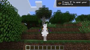 Here is how to make your minecrafting life much easier than it already is: 1 10 2 Customsteve 1 4 0beta Change The Model Of Steve To Whatever You Want Minecraft Mods Mapping And Modding Java Edition Minecraft Forum Minecraft Forum
