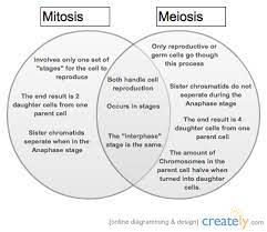 This Venn Diagram Was Made With Creately Diagramming And Collaboration Software Creately Helps You Clase De Biologia Ensenanza De Quimica Ensenanza Biologia