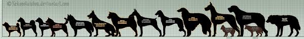 Dog Size Comparison Chart 2019