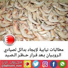 مطالبات نيابية لإيجاد بدائل لصيادي الـروبـيان بـعد قـرار حــظـر الـصـيد دعا المهندس محمد السيسي البوعينين عضو مجلس النواب رئيس لجنة الشؤو shrimp meat food