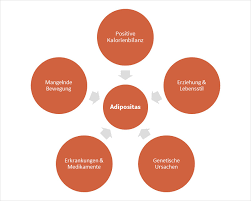 Adipositas bedeutet nicht nur übergewicht. Adipositas Krankheitsbild Ursachen Folgen Therapien