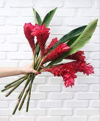 Pin On Wedding Flowers