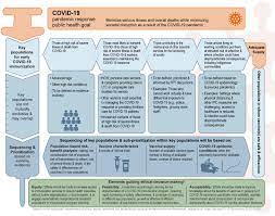 Some have favored vaccinating as many people as possible as quickly as possible, while others have tried to prioritize vaccinating specific vulnerable groups. Covid 19 Preliminary Guidance On Key Populations For Early Immunization Canada Ca