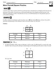Plankton's pet amoeba spot has puppies, and plankton gets them adopted with spongebob's help. Punnet Square Practice Pdf Name Date More Punnett Square Practice 11 2 A Punnett Square Helps Scientists Predict The Possible Genotypes And Phenotypes Course Hero