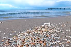 Gefährlich für ada, ein melancholisches mädchen, das gerne strandgut sammelt. Bernsteinbader Usedom Wo Die Ostsee Schaumt Und Der Bernstein Schwimmt