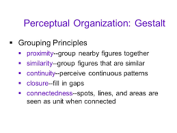 Every stimulus pattern is seen in such a way that the resulting. Perceptual Organization Module Ppt Video Online Download