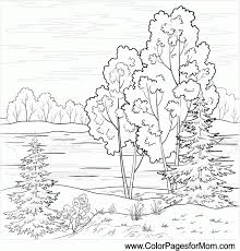 Whitepages is a residential phone book you can use to look up individuals. Landscape Coloring Pages For Adults Coloring Home