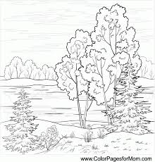 Free, printable coloring pages for adults that are not only fun but extremely relaxing. Landscape Coloring Pages For Adults Coloring Home