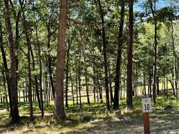 Pendleton County, WV Undeveloped Land for Sale