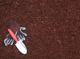 If you want a more natural look for your bedding, choose our dark fir bark dust (¾ minus). Medium Fine Red Hemlock Bark Best Buy In Town Portland Or