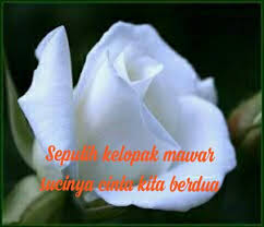 We did not find results for: Birunya Rasaku Bagai Pungguk Merindukan Bulan Itulah Facebook